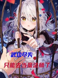 武功尽失，只能去当魔法师了武功尽失，只能去当魔法师了